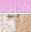 thumbnail image from paper