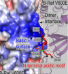 thumbnail image from paper