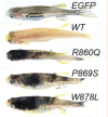 thumbnail image from paper