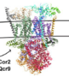 thumbnail image from paper