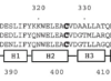 thumbnail image from paper