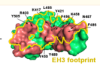 thumbnail image from paper