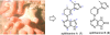 thumbnail image from paper
