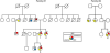 thumbnail image from paper