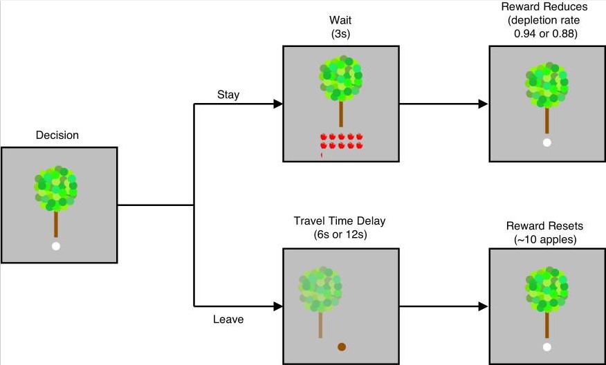 thumbnail image from paper