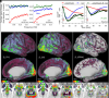 thumbnail image from paper