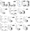 thumbnail image from paper