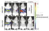 thumbnail image from paper