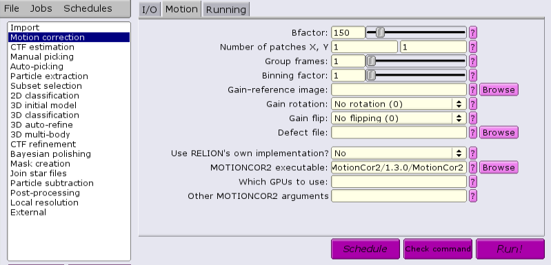 MotionCor2