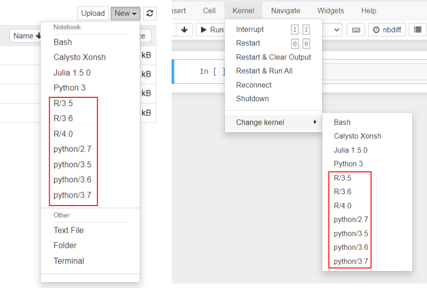 Select notebook kernels