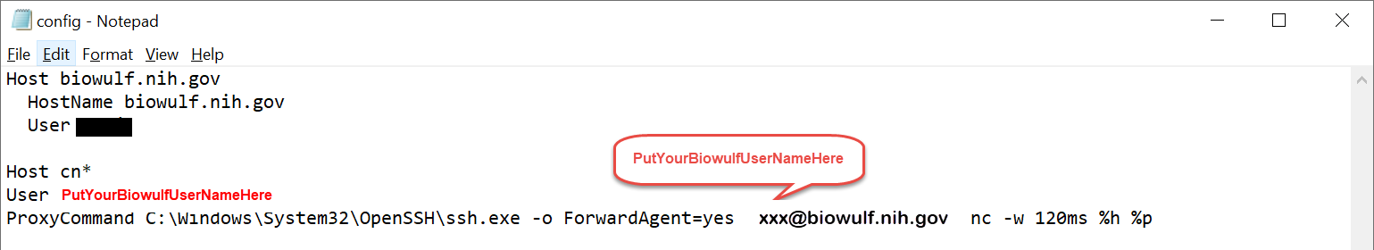 modify config file
